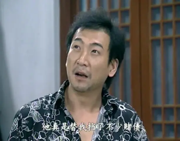 悠悠寸草心 27集