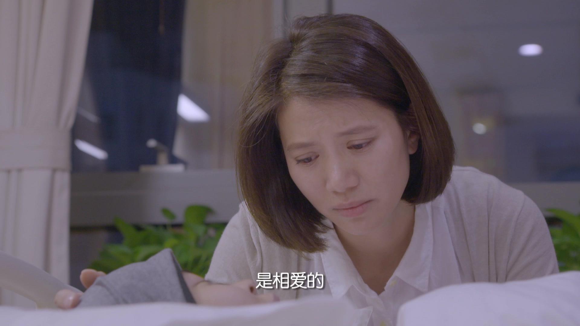 领养 第30集视频封面图