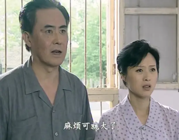 悠悠寸草心 17集