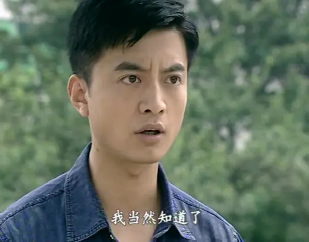 悠悠寸草心 16集