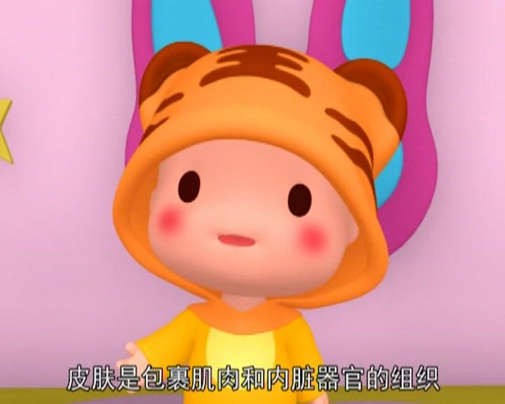 布丁小镇百科常识课堂 第14集视频封面图