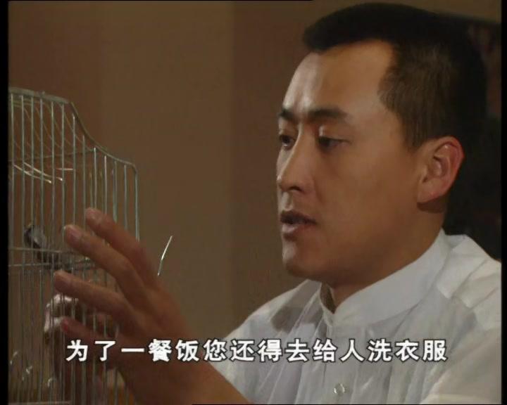 天网孽情 第1集视频封面图