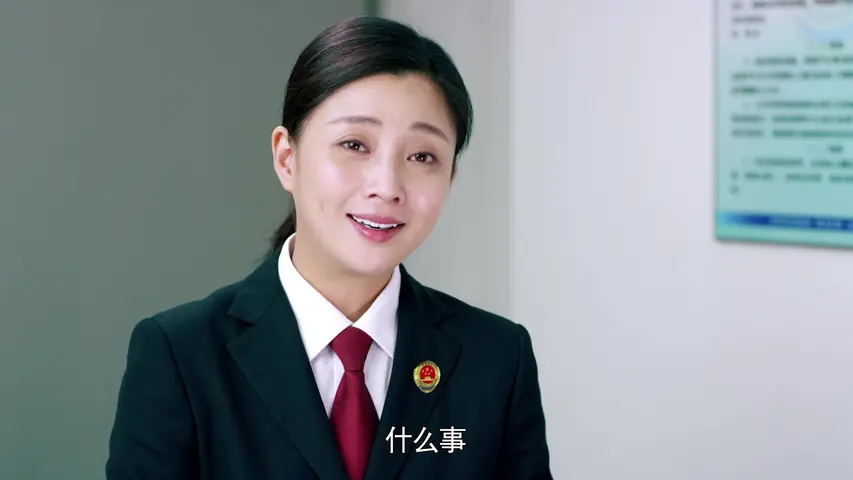 人民检察官 28集