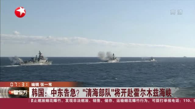 霍尔木兹海峡对韩国影响-西瓜视频