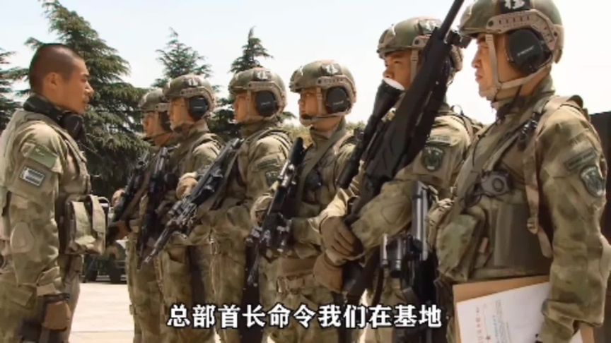 一口气看完系列特种兵之火凤凰