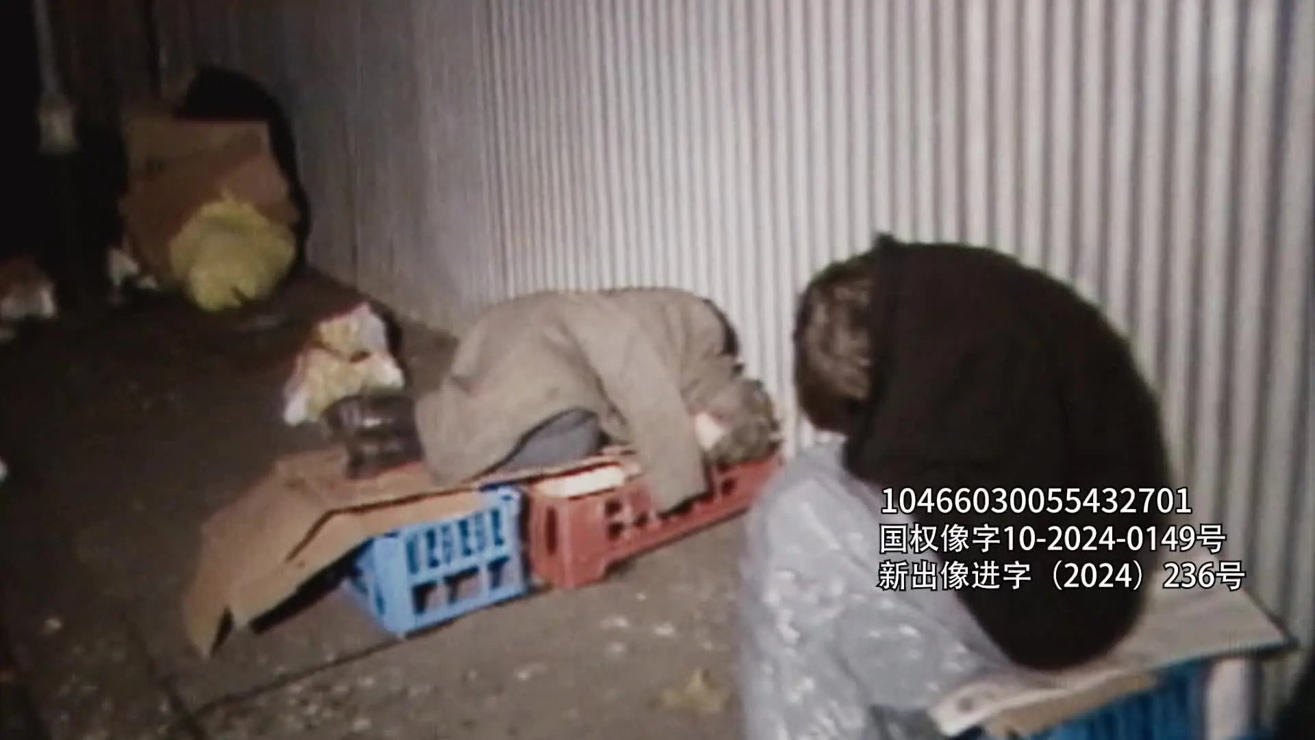 丹斯 1集