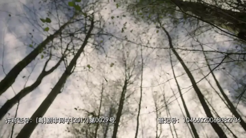 穿越时间线第一季 10集