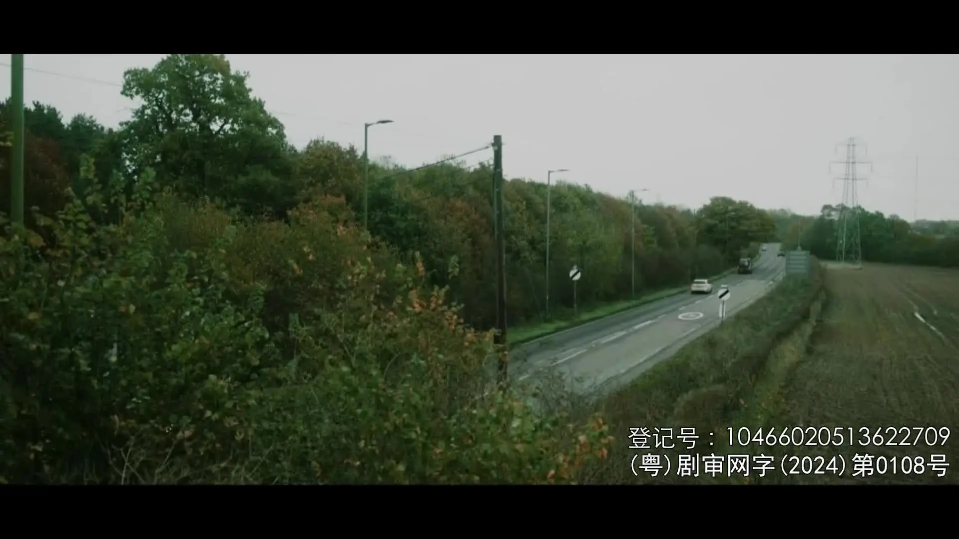 两周后就死 1集