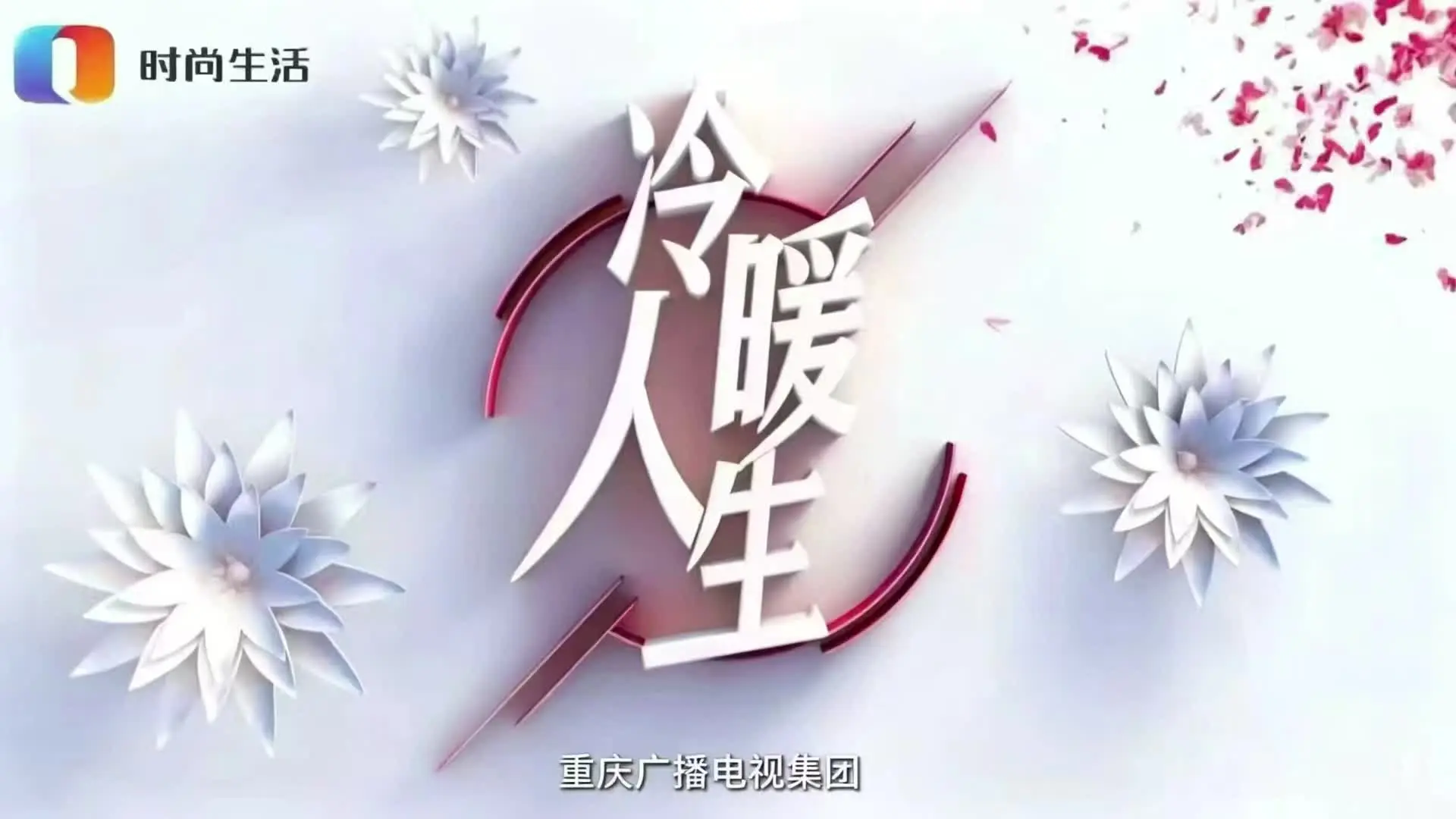焚茧 2集