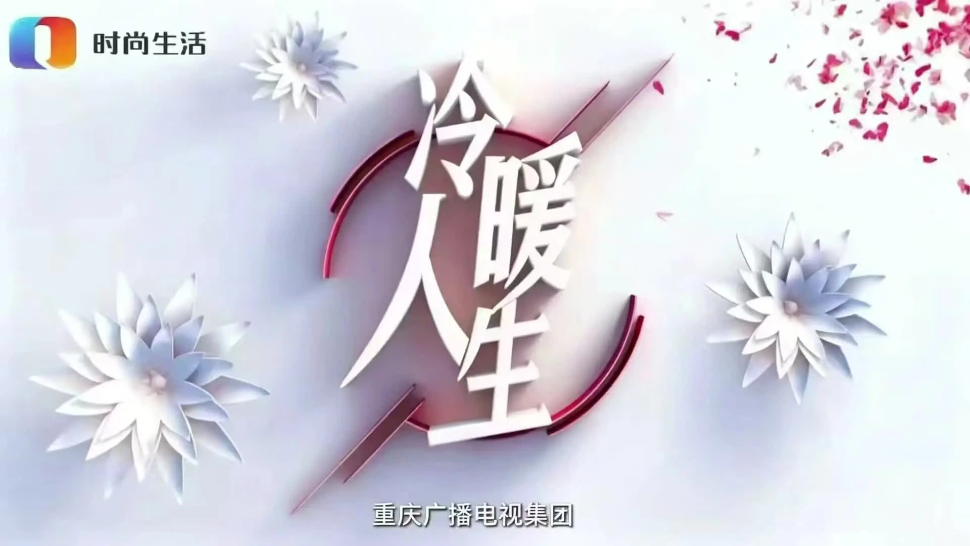 焚茧 1集