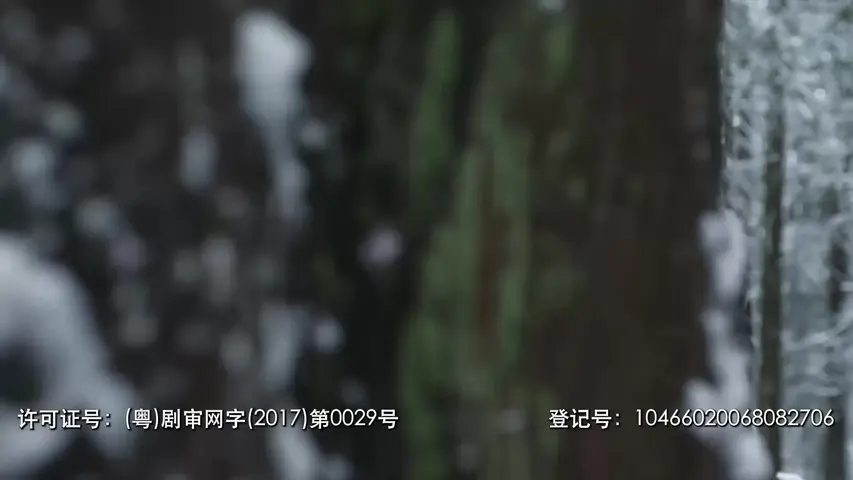 穿越时间线第一季 13集