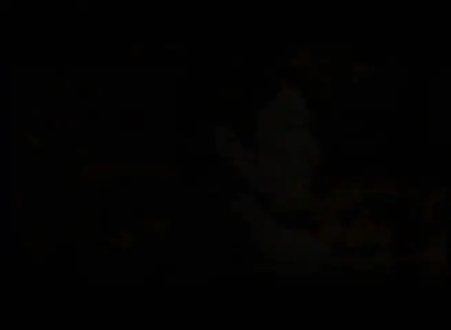 生死桥 2集