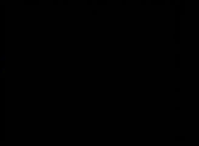 生死桥 29集
