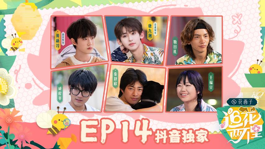 《追花两万里》第14期