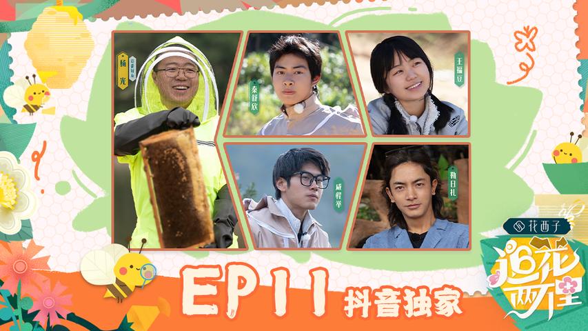 《追花两万里》第11期