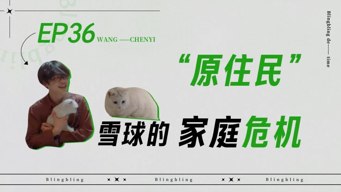 《闪亮的日子》第36期视频封面图