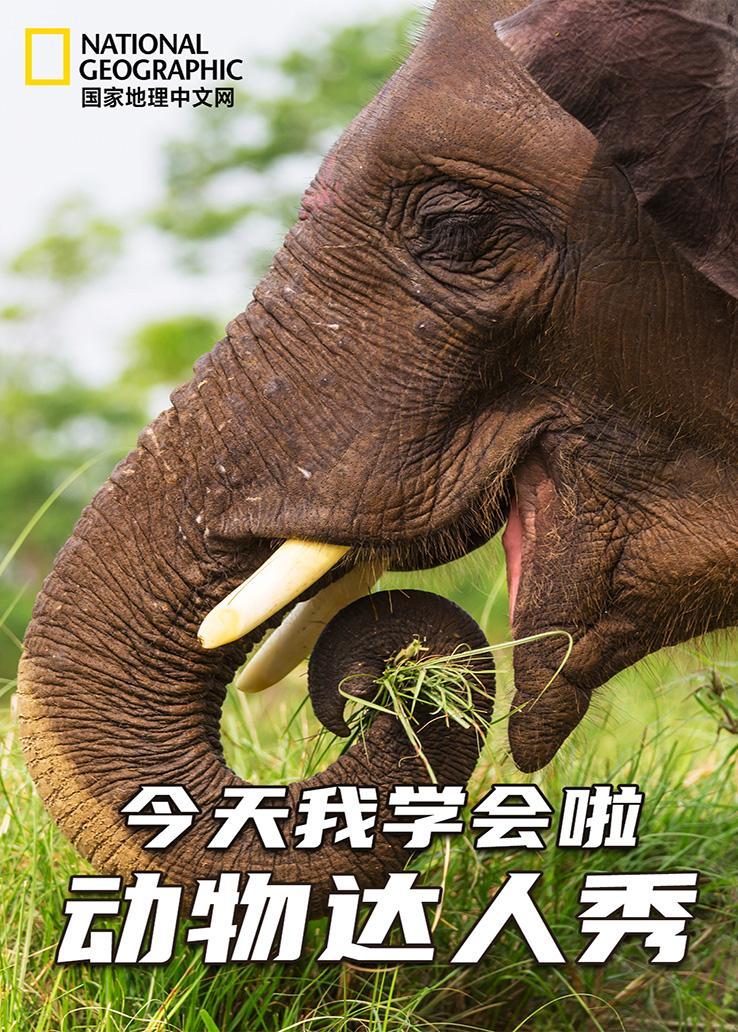 国家地理：今天我学会啦之动物达人秀