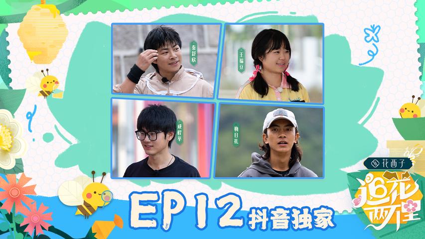 《追花两万里》第12期