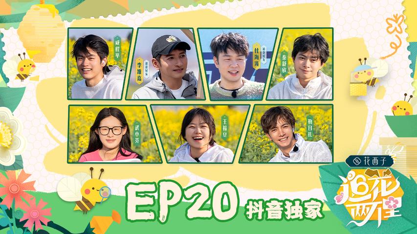 《追花两万里》第20期