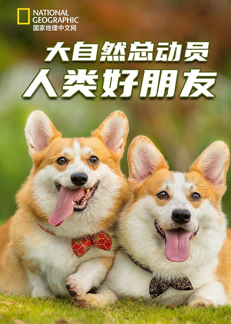 国家地理：大自然总动员之人类好朋友