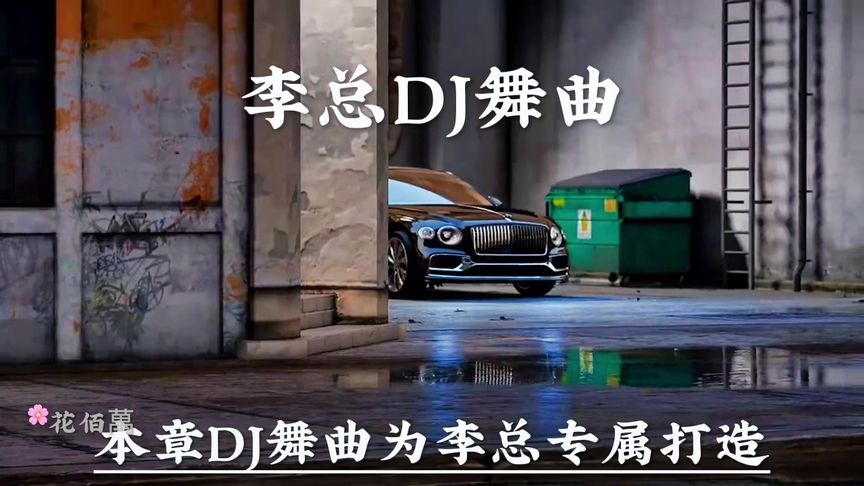 李总专属DJ舞曲!花花世界迷人眼!张总确实很耀眼!#今日文案