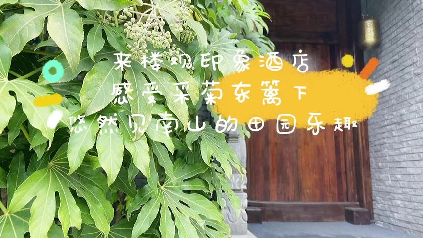 剪一片闲云,走一程山水,品一壶春光独醉,念一场旧梦皆懂