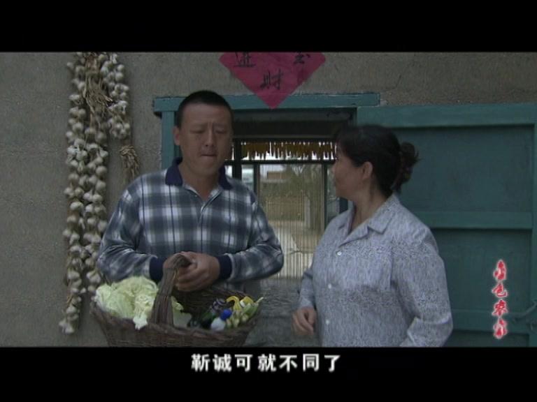 金色农家 第15集视频封面图