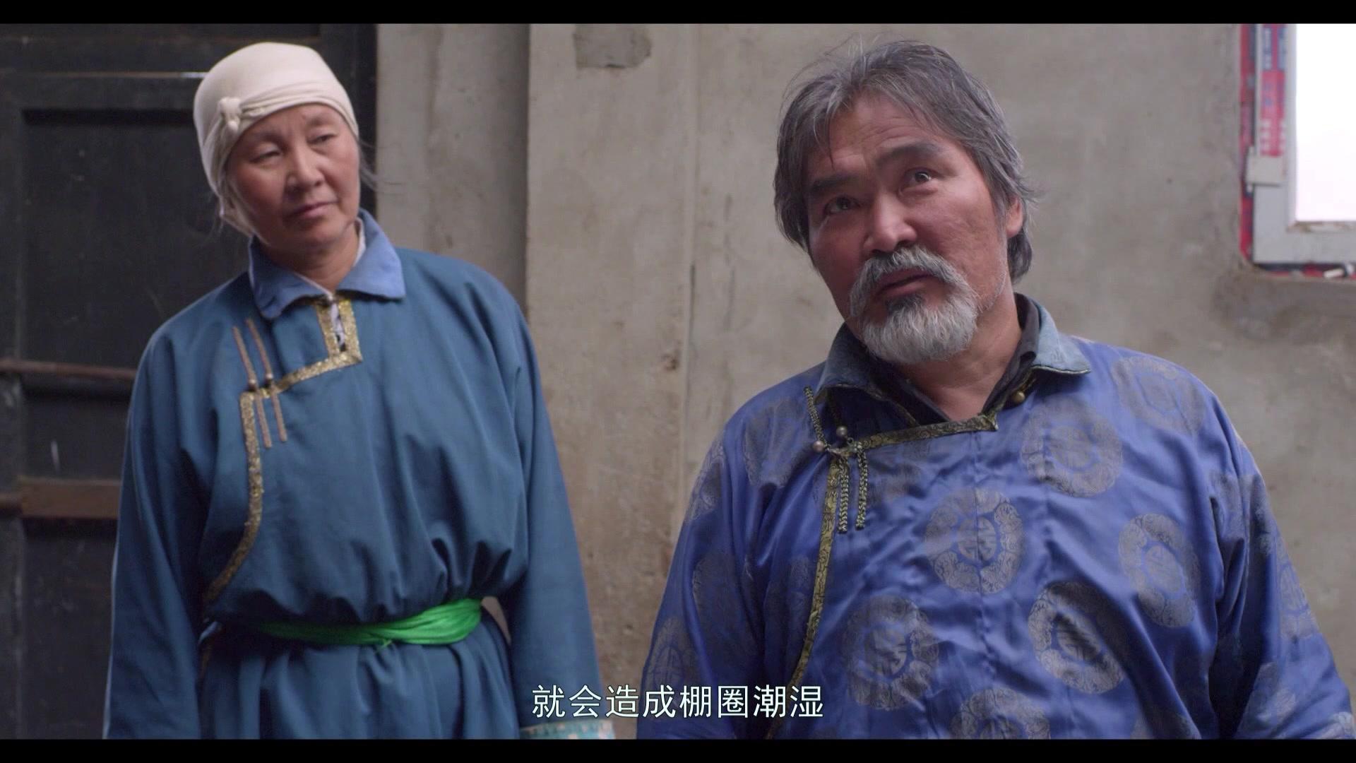 在草原上 第12集视频封面图