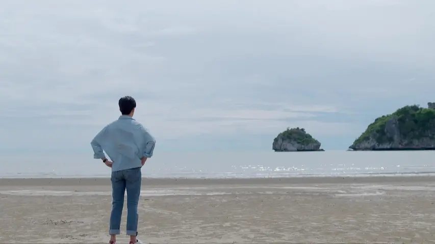 重生之爱 8集