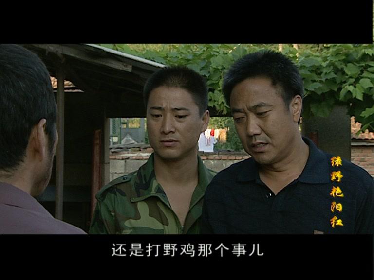 绿野艳阳红 第10集视频封面图