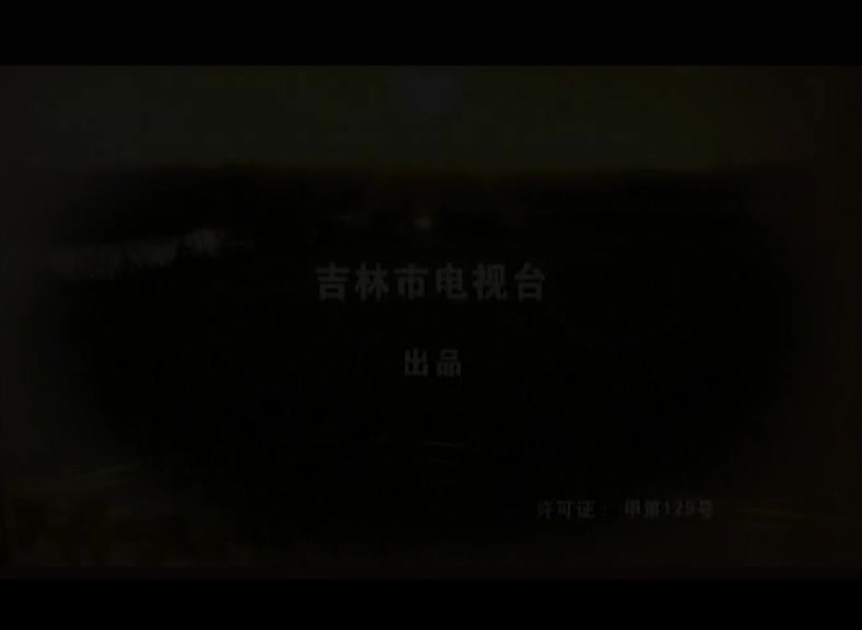俄罗斯姑娘在小城 第14集视频封面图