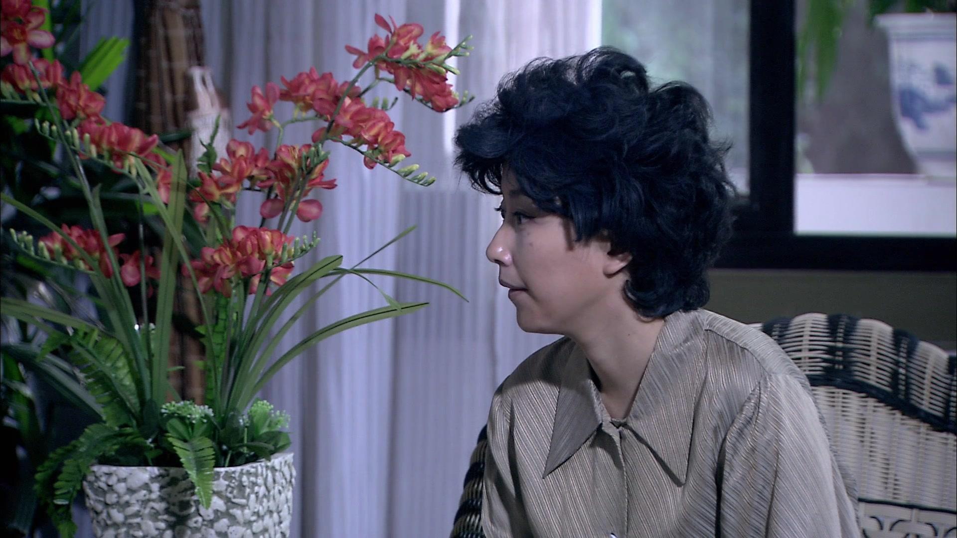 一世牵挂 第35集视频封面图