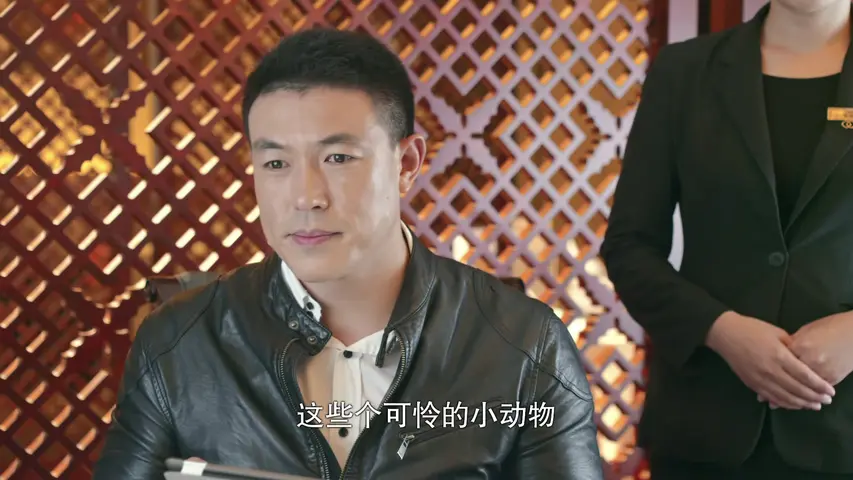 美梦成真 28集