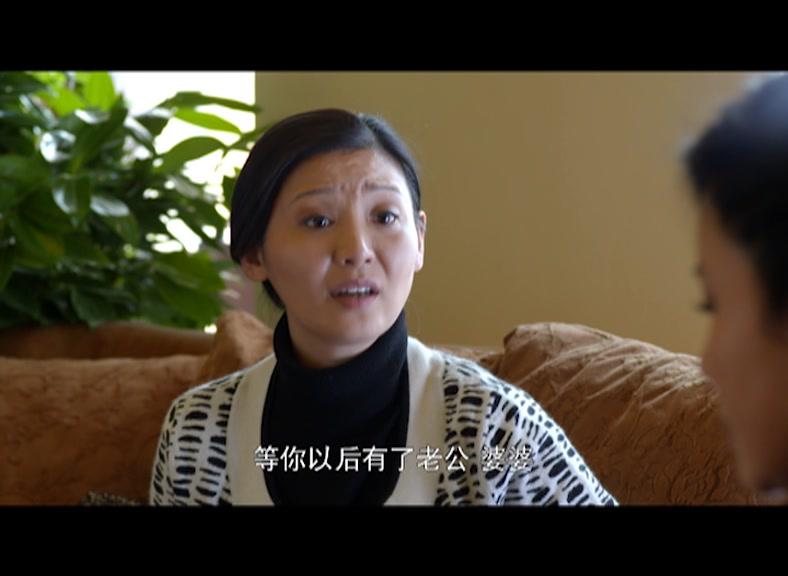 第三种幸福 第14集视频封面图