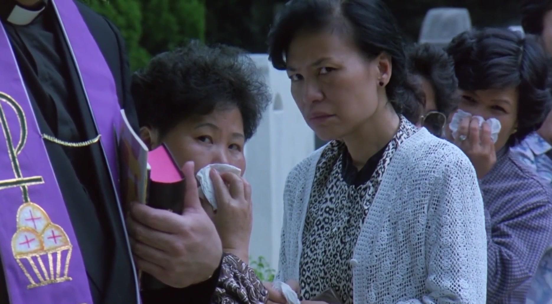 伴我纵横视频封面图