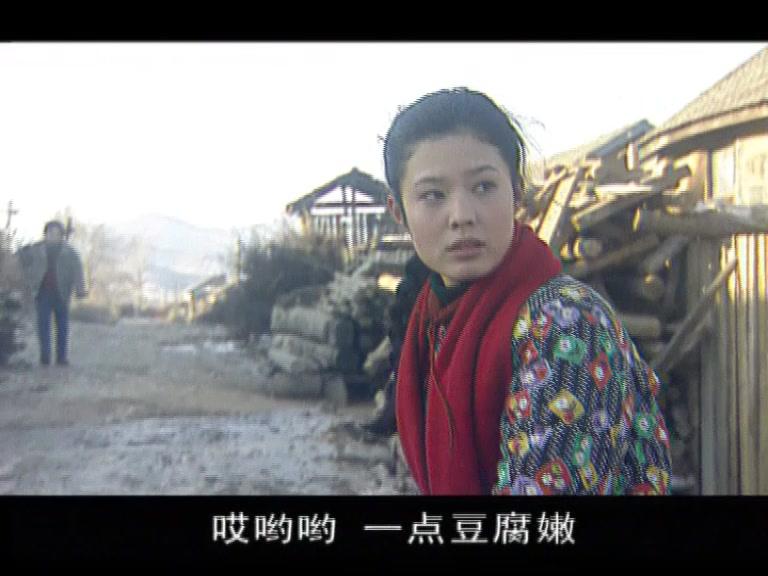 老嘎包村记 12集