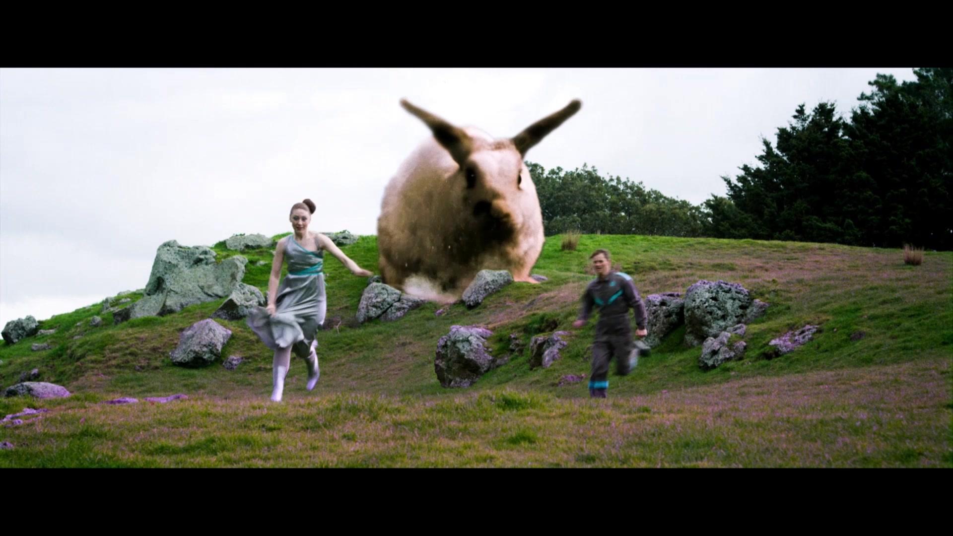 人在星途视频封面图