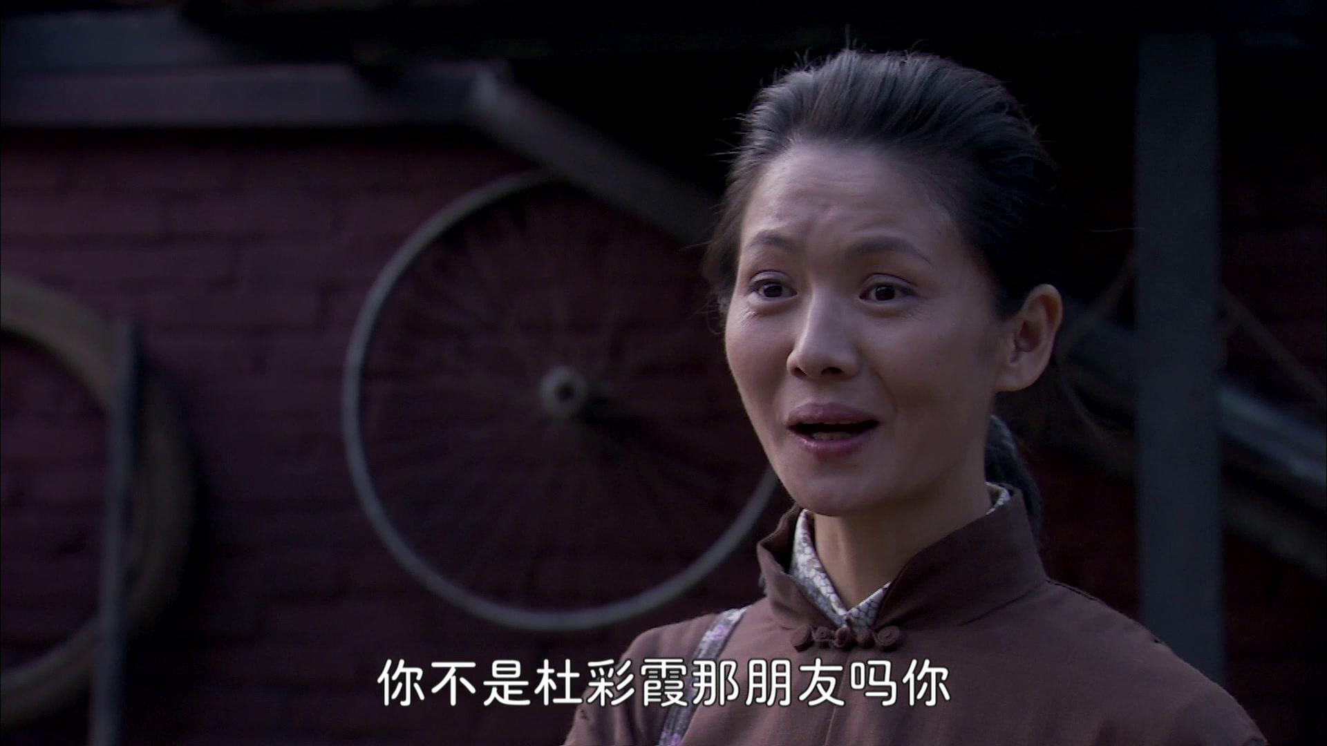 养母 第23集视频封面图