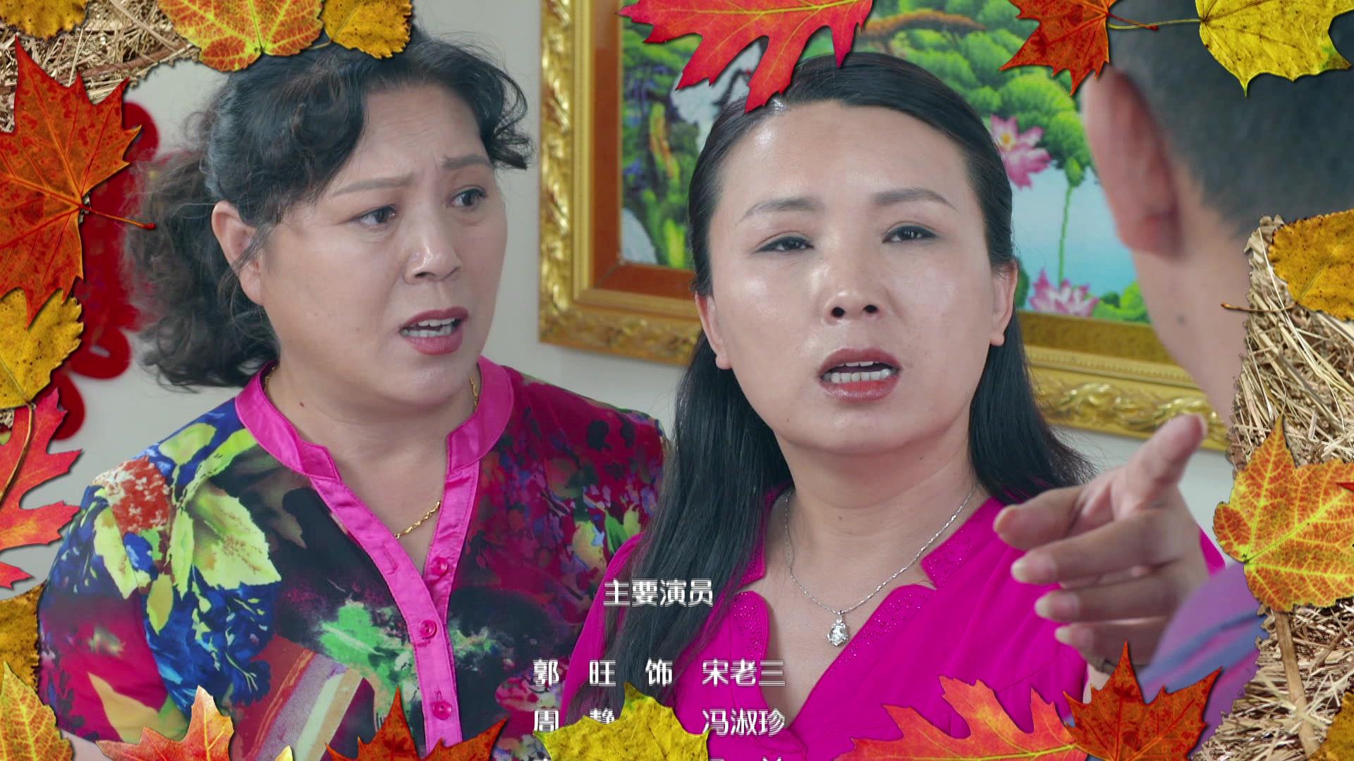 多彩庄家院第二部 第11集视频封面图