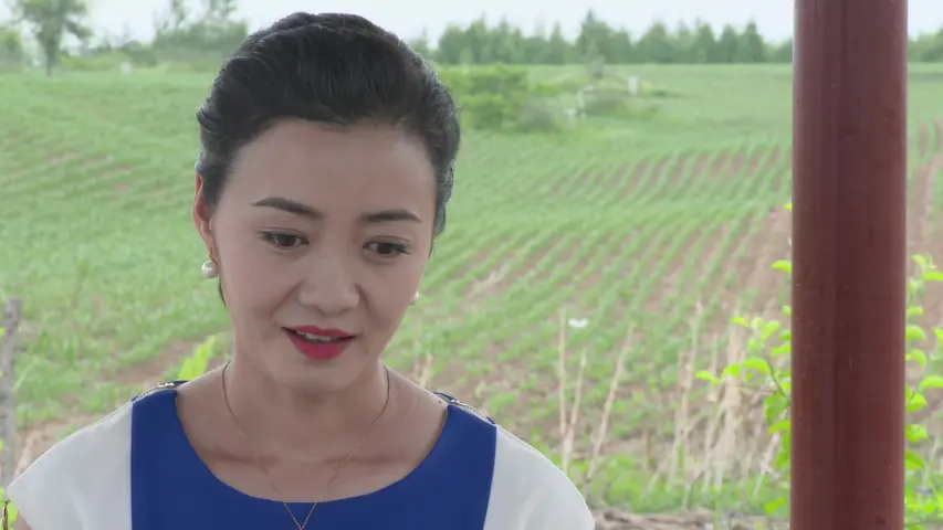 多彩庄家院第二季 2集