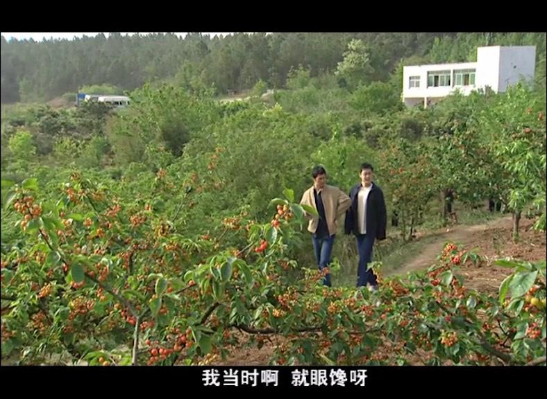 衣食父母 第10集视频封面图