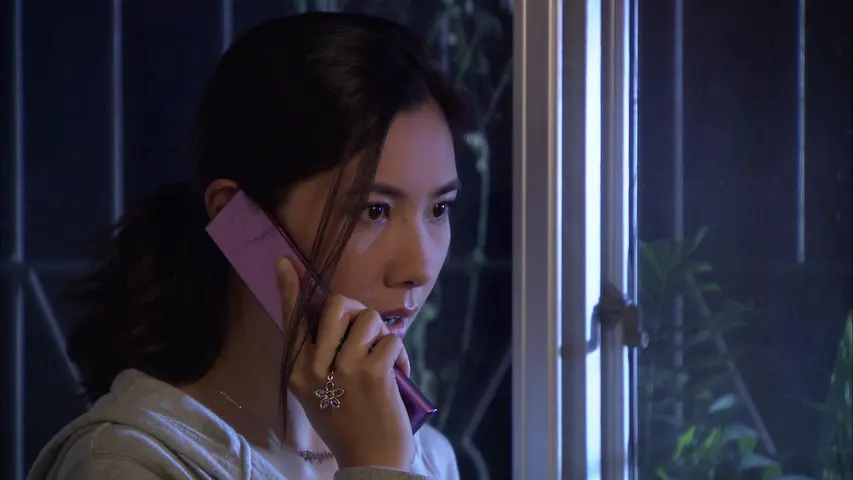 寻宝记 21集
