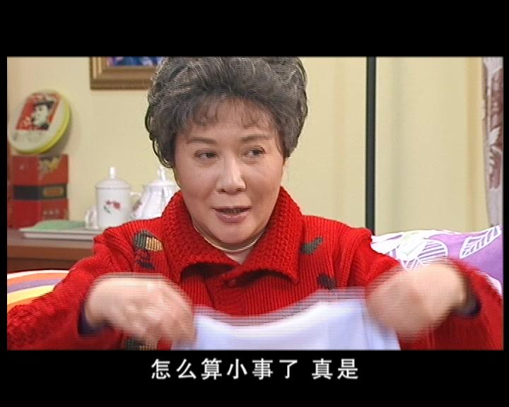 鸡毛蒜皮没小事第二部 第36集视频封面图