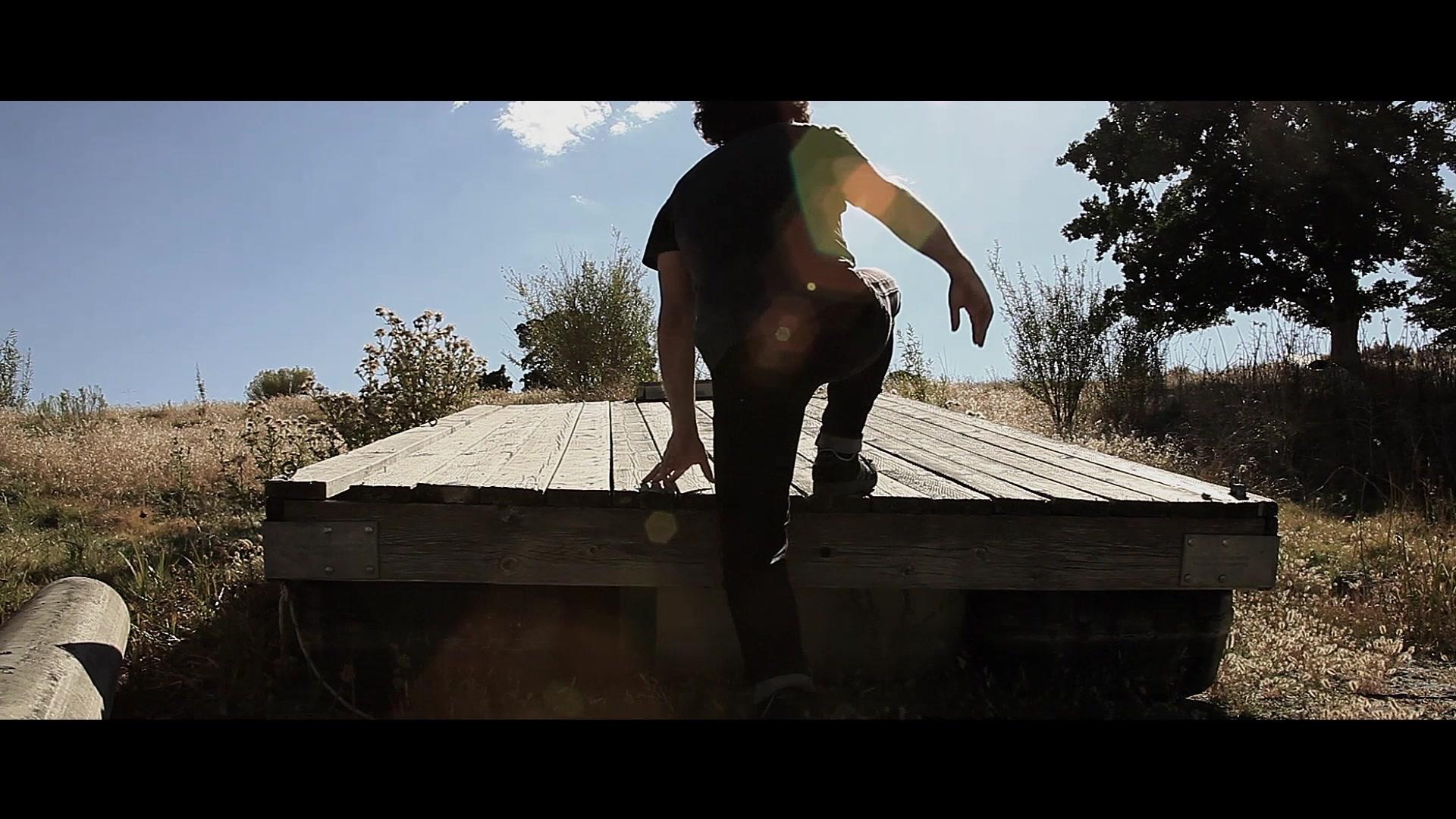 逝去的爱情树视频封面图