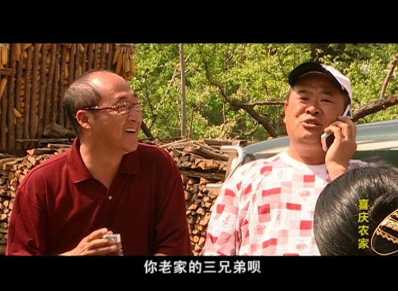 喜庆农家 第19集视频封面图
