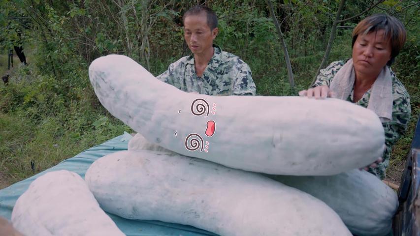 《我们村》第4集