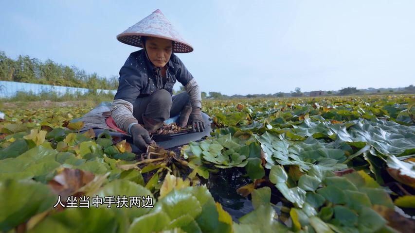 《我们村》第6集