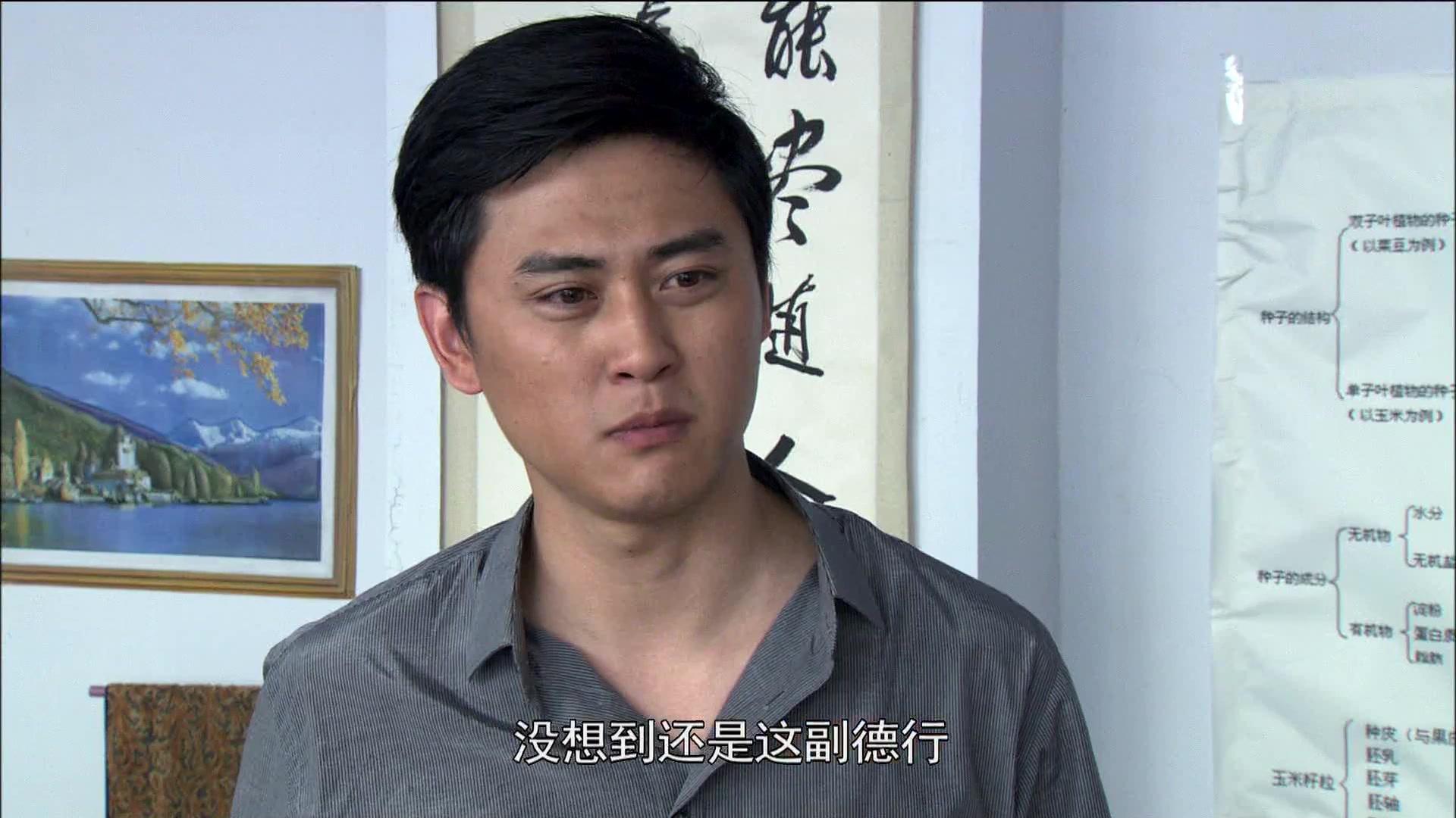 我的土地我的家 第22集视频封面图