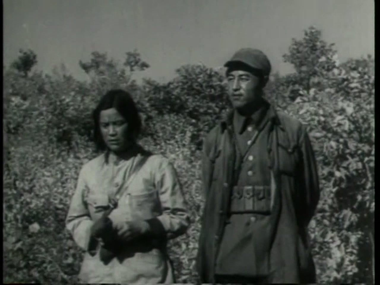 中华女儿视频封面图