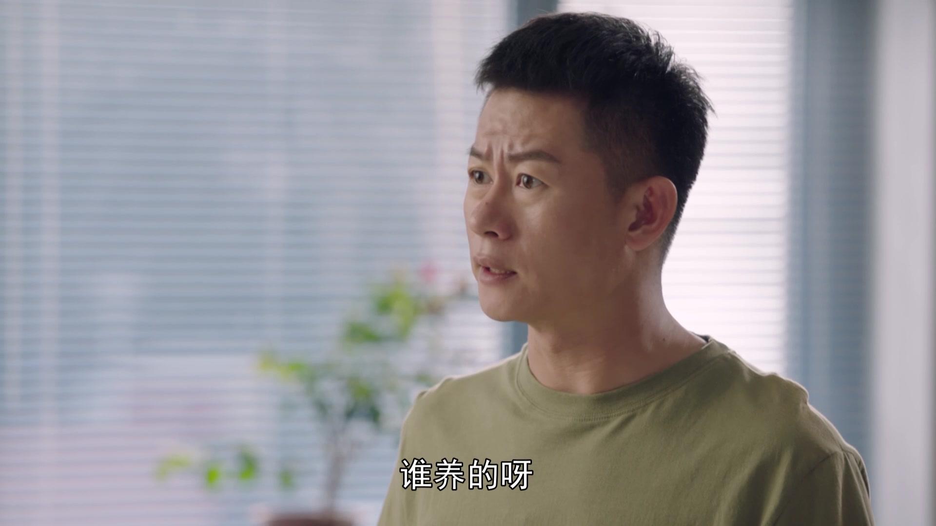 爱在青山绿水间 第10集视频封面图